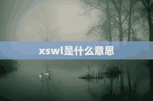 xswl是什么意思